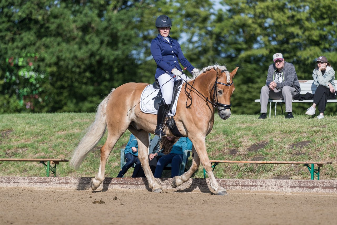 Bild 199 - Pony Akademie Turnier